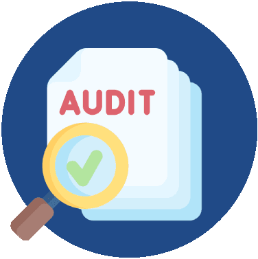 Medical Billing Audit